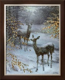 Buy Early Snow at AllPosters.com