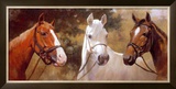 Buy We Are the Champions at AllPosters.com