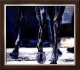 Buy War Emblem's Legs at AllPosters.com