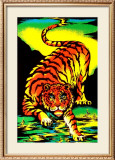 Tiger Framed Art Print