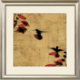 Colibri I