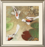 Koi Fest I