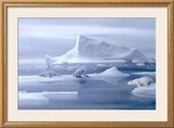 Buy Play Time Polar Bear at AllPosters.com