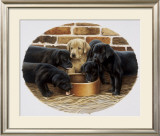 Buy Golden Girl at AllPosters.com