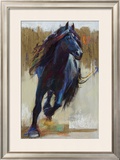 Buy Warrior at AllPosters.com
