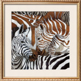 Buy Zebra's Twist at AllPosters.com