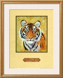 Buy Tiger at AllPosters.com