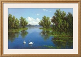 Buy River with Swans I at AllPosters.com