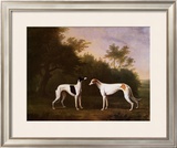 Buy Two Greyhounds in a Landscape at AllPosters.com