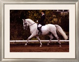 Buy Dressage at AllPosters.com