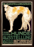 Hunde Ausstellung