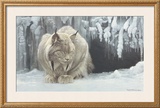 Dozing Lynx