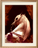 Buy Andalou at AllPosters.com