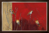 Sparrows in Willow