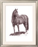 Buy Calypso Pony at AllPosters.com