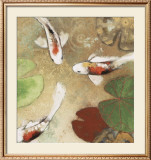 Koi Fest I