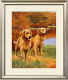 Buy Fall Guys at AllPosters.com