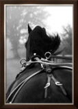 Buy Cantering at AllPosters.com