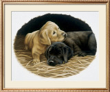 Buy Friends at AllPosters.com
