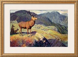 Buy Scotland for Holidays at AllPosters.com