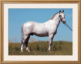 Buy Stand Proud at AllPosters.com