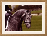 Buy Competition Time at AllPosters.com