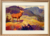 Buy Scotland for Holidays at AllPosters.com