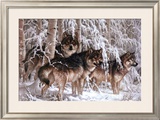 Buy Crystal Forest at AllPosters.com