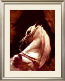 Buy Andalou at AllPosters.com