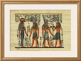 Egyptian Papyrus, Design IV