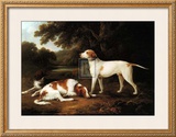 Pointer and Two Spaniels in a Park