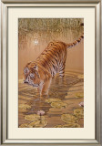 Buy Tiger at the Edge of Night at AllPosters.com