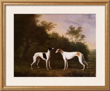 Buy Two Greyhounds in a Landscape at AllPosters.com
