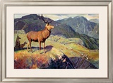 Buy Scotland for Holidays at AllPosters.com