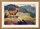 Buy Scotland for Holidays at AllPosters.com
