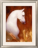 Buy Wheat Field at AllPosters.com