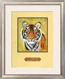 Buy Tiger at AllPosters.com