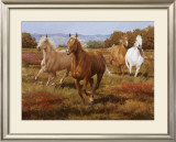 The Thundering Herd