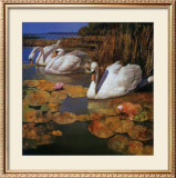 Buy The Swans Family II at AllPosters.com