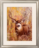 Buy Buck in Forest at AllPosters.com