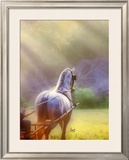 Buy Rays of Light at AllPosters.com