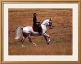 Buy In the Country at AllPosters.com