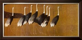 Cranes