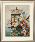 Buy Cockatoo and Blossoms at AllPosters.com