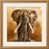 Buy Elephant at AllPosters.com