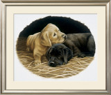Buy Friends at AllPosters.com