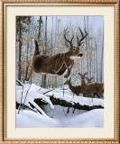 Buy Leaping Deer at AllPosters.com