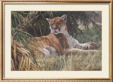 Last Sanctuary- Florida Panther (detail)