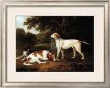 Pointer and Two Spaniels in a Park