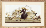 Buy Chesapeake Bay Canvasback at AllPosters.com